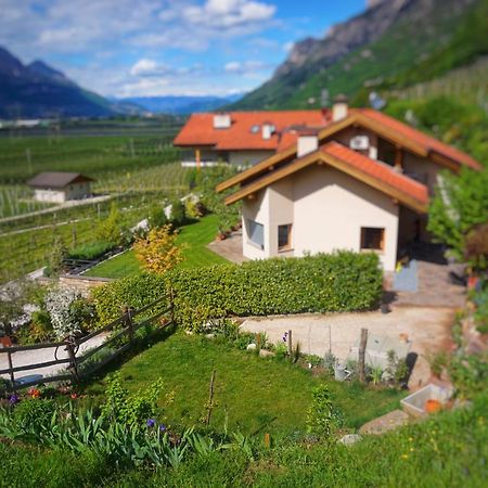 Agritur Zuveith Daire Salorno Dış mekan fotoğraf
